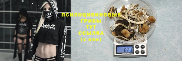 марки nbome Алексеевка