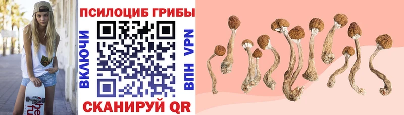 Галлюциногенные грибы Psilocybe  shop наркотические препараты  Кизел 